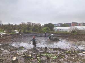 乐东河道鱼塘清淤
